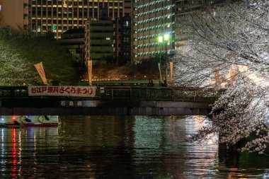 Japonya 'da kiraz çiçekleri, Tokyo