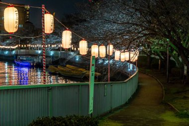 Japonya 'da kiraz çiçekleri, Tokyo