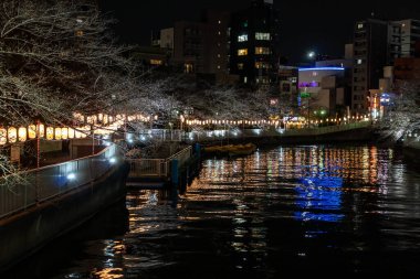 Japonya 'da kiraz çiçekleri, Tokyo