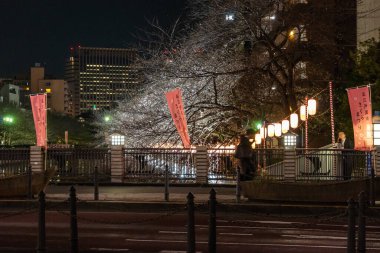 Japonya 'da kiraz çiçekleri, Tokyo