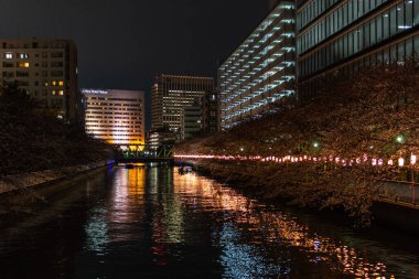 Japonya 'da kiraz çiçekleri, Tokyo