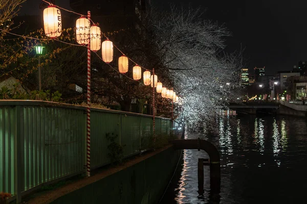 东京的樱花 — 图库照片