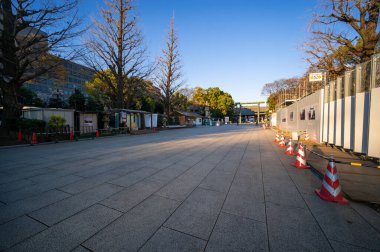 Japonya 'da kiraz çiçekleri, Tokyo