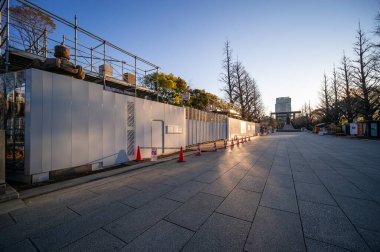 Japonya 'da kiraz çiçekleri, Tokyo