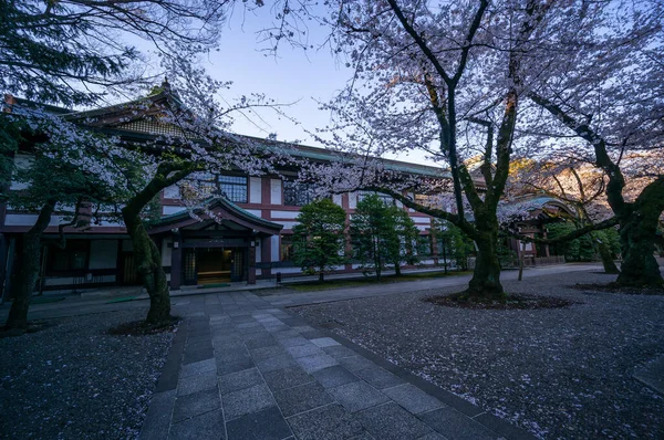 東京の桜 — ストック写真