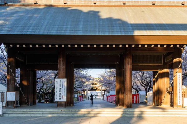 Japonya Kiraz Çiçekleri Tokyo — Stok fotoğraf