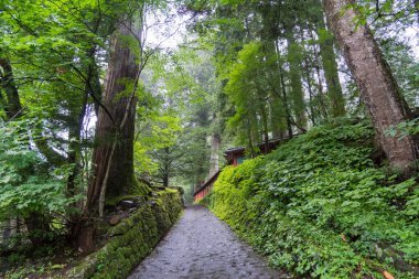 Japonya Nikko Şehir Manzarası
