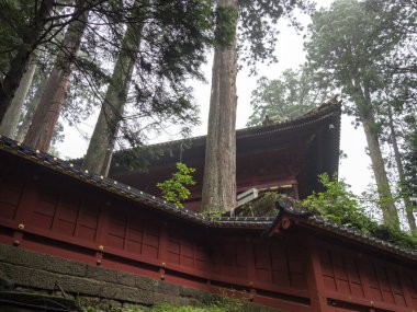 Japonya Nikko Şehir Manzarası