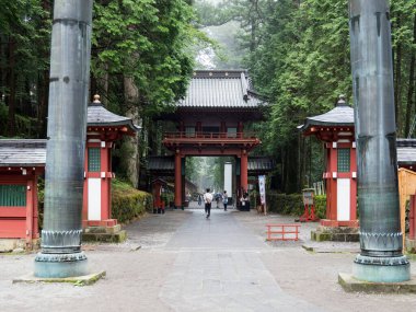 Japonya Nikko Şehir Manzarası
