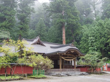 Japonya Nikko Şehir Manzarası