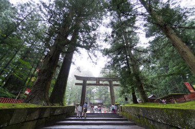 Japonya Nikko Şehir Manzarası