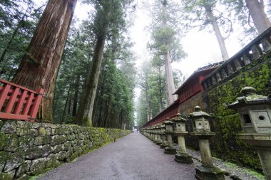 Japonya Nikko Şehir Manzarası