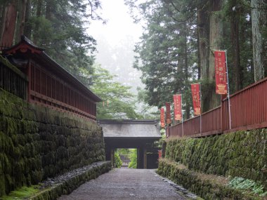 Japonya Nikko Şehir Manzarası