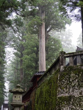 Japonya Nikko Şehir Manzarası