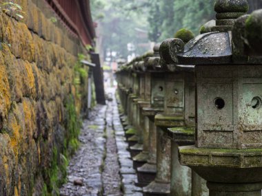 Japonya Nikko Şehir Manzarası
