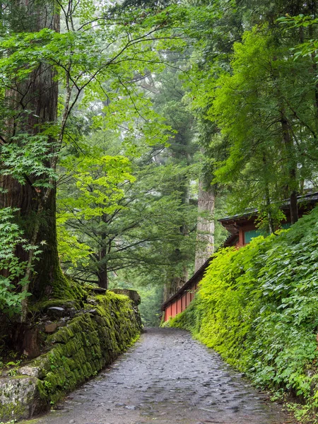Giappone Nikko Città Paesaggio — Foto Stock