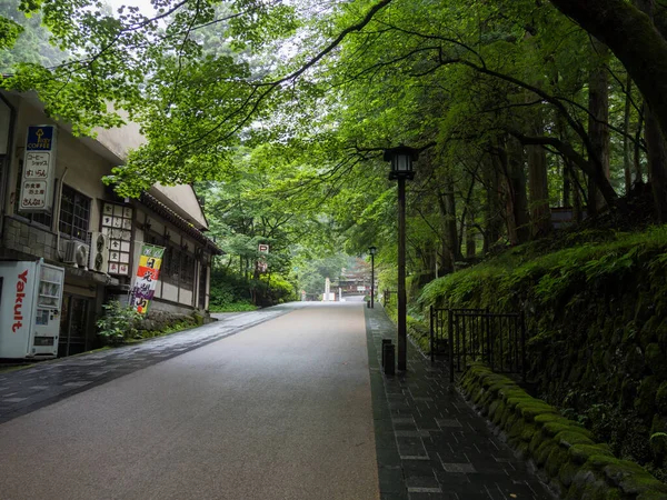 Japan Nikko City Landscape — Stock Photo, Image