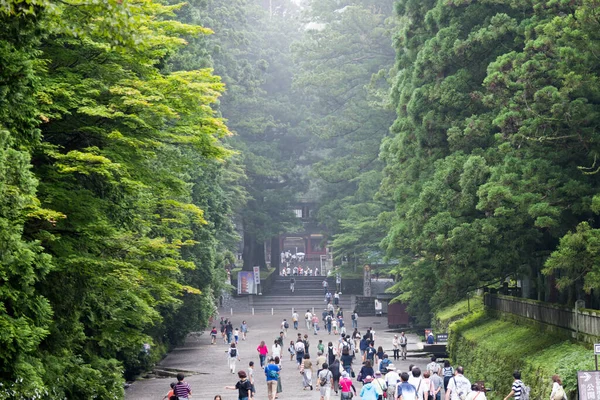 Japonia Nikko Miasto Krajobraz — Zdjęcie stockowe