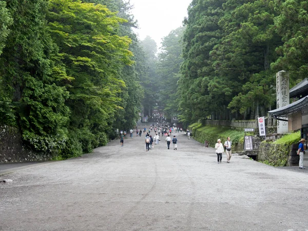 Japán Nikko Város Táj — Stock Fotó