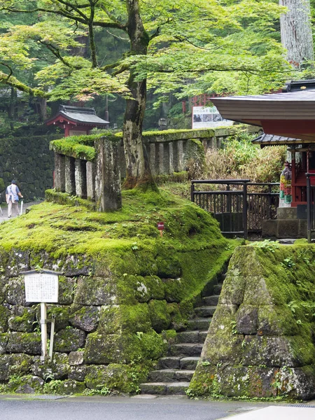 Японський Міський Ландшафт Нікко — стокове фото