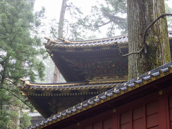 Japonya Nikko Şehir Manzarası