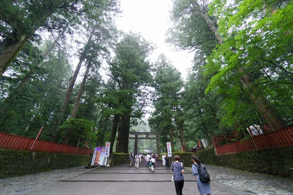 Japonya Nikko Şehir Manzarası