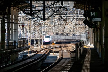 Japon Shinkansen Ekspres Treni