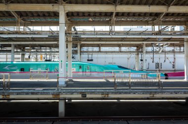 Japon Shinkansen Ekspres Treni