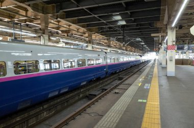 Japon Shinkansen Ekspres Treni