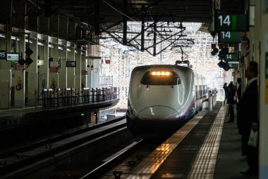 Japon Shinkansen Ekspres Treni