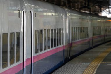 Japon Shinkansen Ekspres Treni