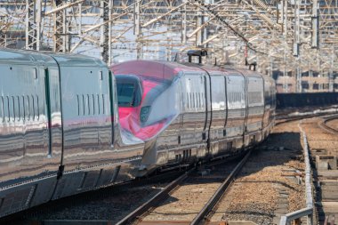 Japon Shinkansen Ekspres Treni
