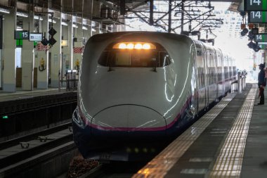 Japon Shinkansen Ekspres Treni