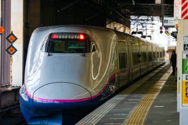 Japon Shinkansen Ekspres Treni