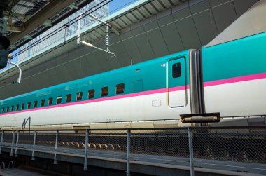 Japon Shinkansen Ekspres Treni