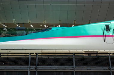 Japon Shinkansen Ekspres Treni