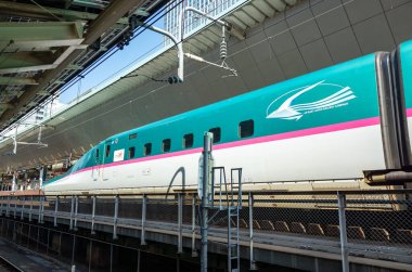 Japon Shinkansen Ekspres Treni