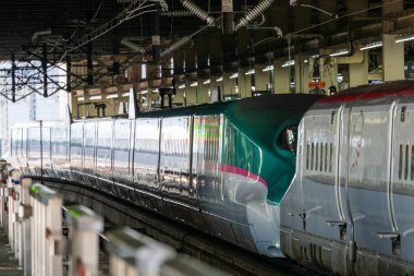 Japon Shinkansen Ekspres Treni
