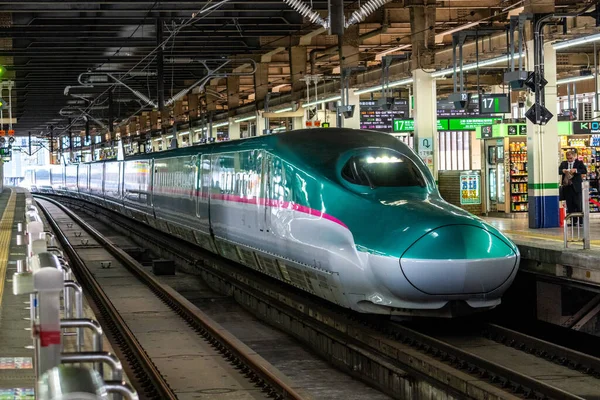 Japon Shinkansen Ekspres Treni