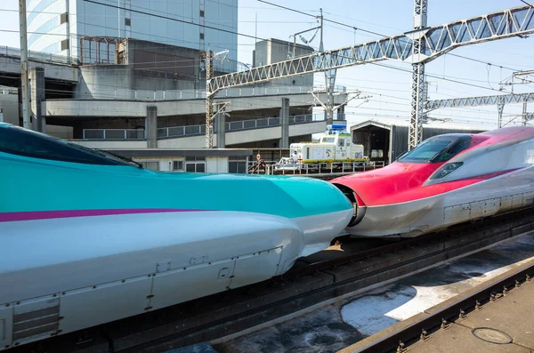 Japon Shinkansen Ekspres Treni