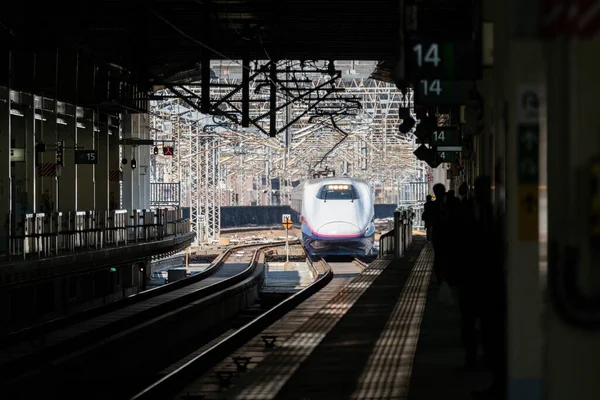 Kereta Ekspres Terbatas Shinkansen Jepang — Stok Foto