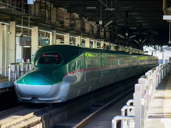 Japon Shinkansen Ekspres Treni