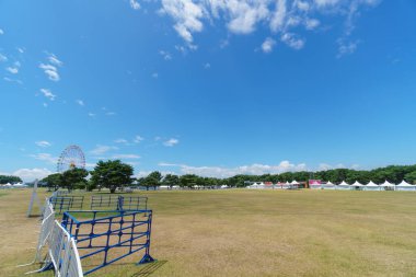 Hitachi Sahil Parkı, Japonya Peyzajı