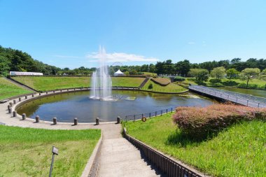 Hitachi Sahil Parkı, Japonya Peyzajı