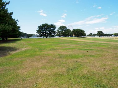 Hitachi Sahil Parkı, Japonya Peyzajı