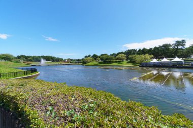 Hitachi Sahil Parkı, Japonya Peyzajı