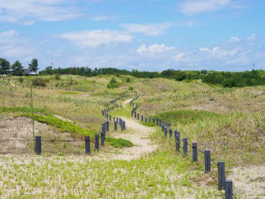 Hitachi Sahil Parkı, Japonya Peyzajı