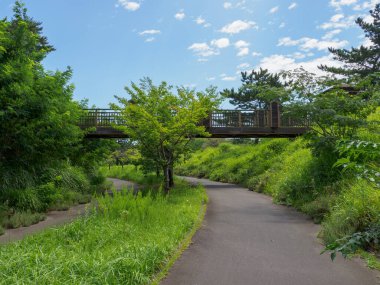 Hitachi Sahil Parkı, Japonya Peyzajı