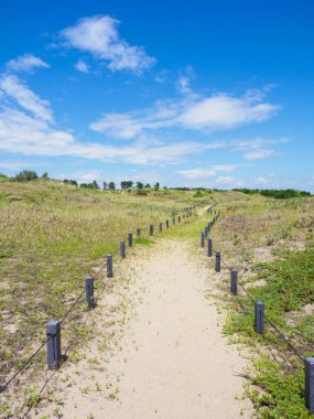 Hitachi Sahil Parkı, Japonya Peyzajı