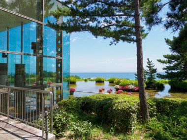 Hitachi Sahil Parkı, Japonya Peyzajı